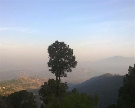 VALLEY VIEW VILLA (Ranikhet) - Villa Reviews & Photos - Tripadvisor