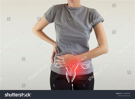2 Uterus Problems Visualisation Images, Stock Photos & Vectors | Shutterstock