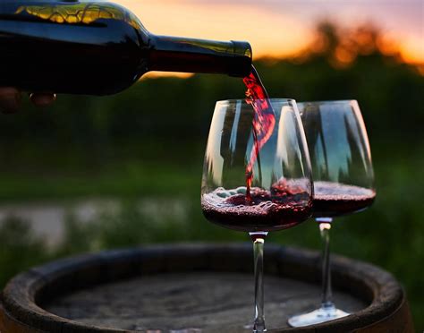 BEAR, Napa - Menu, Prices & Restaurant Reviews - Tripadvisor