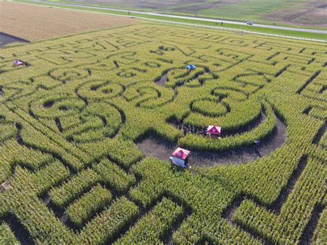 Corn Maze 的图像结果