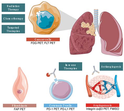 Novel Targets, Novel Treatments: The Changing Landscape of Non-Small ...