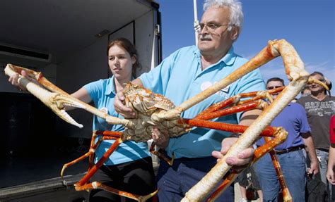 A look at the largest animals in the world
