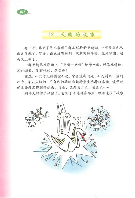 Code API 的图像结果
