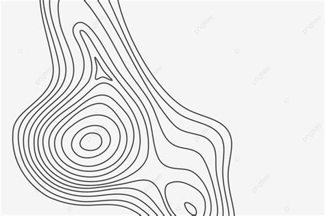 Elevation Map 的图像结果