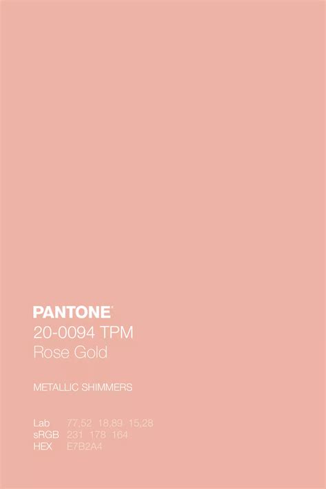 Rose Color 的图像结果