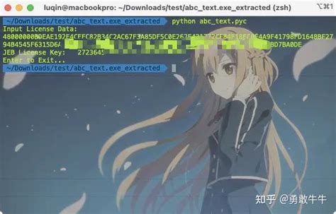 Exit Editing APY File in Shell 的图像结果