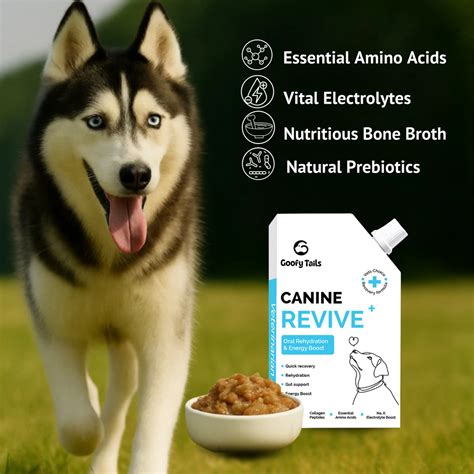 Goofy Tails Canine Revive + Hydration, Nutrition booster, ORS for Dogs ...