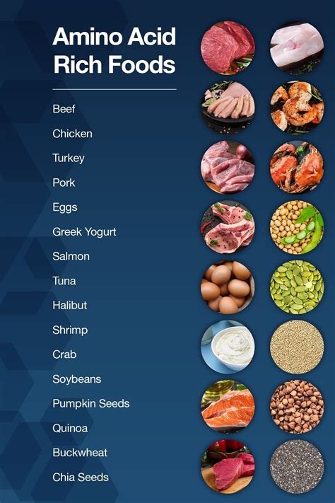 Nucleic Acid Foods