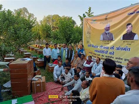 Distribution of 600 Bee-boxes in backward and tribal dominated ...