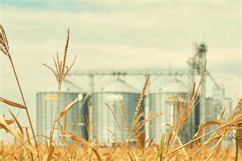 Grains Futures Prices - Barchart.com