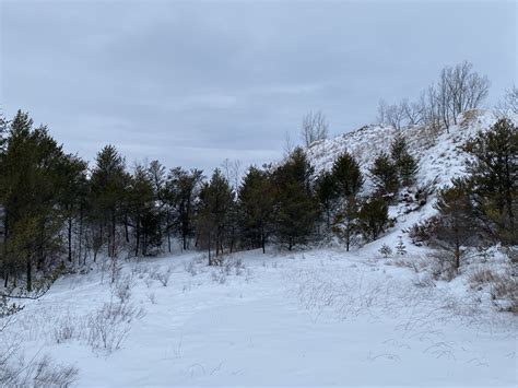 Ecological Succession Indiana Dunes