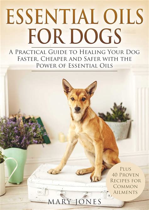Essential Oils For Dogs: A Practical Guide to Healing Your Dog Faster ...