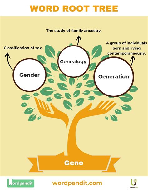 The Geno Root Word: Meaning, Definition, and Examples