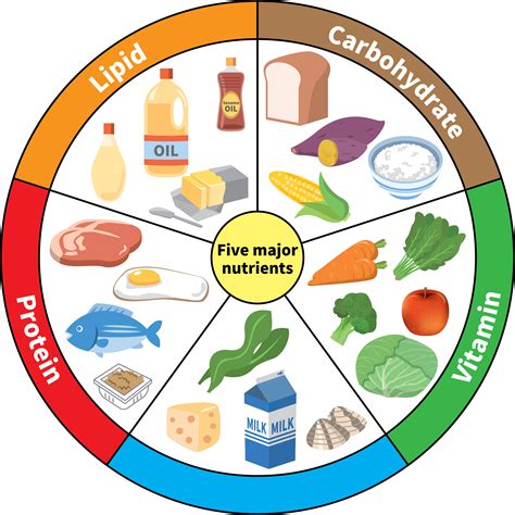 Food Chemistry — lesson. Science State Board, Class 9.