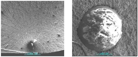 Image result for Spring Trap Failure