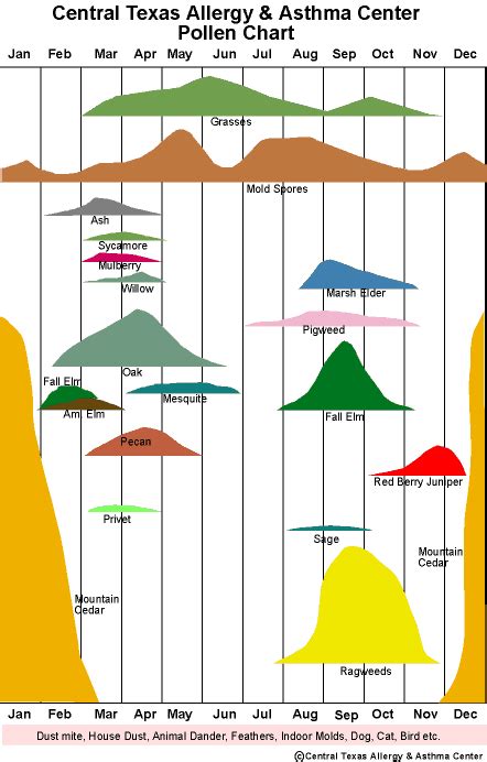 the Austin (Central Texas) all-in-one weather dashboard (with no ads ...