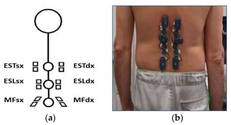 Combined Use of sEMG and Inertial Sensing to Evaluate Biomechanical ...