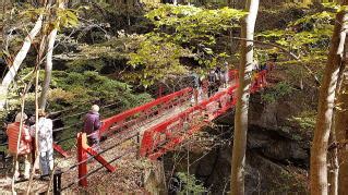 Image result for Engineering Testing Table