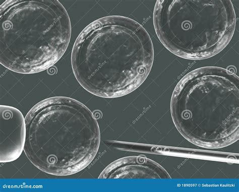Cell Injection 的图像结果