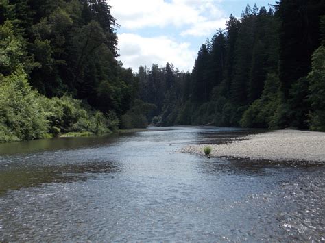 Eel River, CA Redwoods