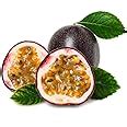 Creative Farmer Fruit Seeds : Tiki Fruit - Passion Fruit Fruit Seeds ...