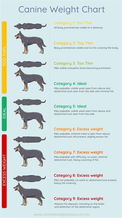 Dog Breed Weight Chart