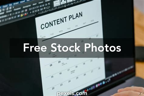 Types of Entrepreneurship 的图像结果