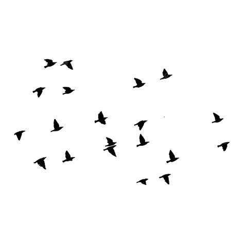 Black Birds Flying Wallpaper at Dustin Heard blog