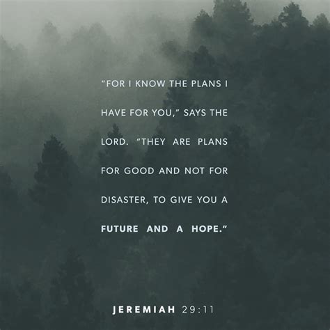 Jeremiah 29:11 For I know the plans I have for you,” declares the LORD ...