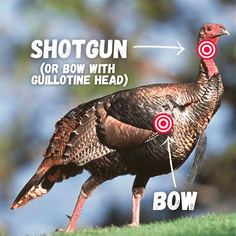 How To Turkey Hunt | Crash Course