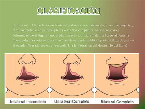 Image result for Custom Mouse Cursor CSS