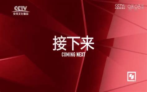 CCTV4中文国际频道（接下来播出）2019.10.14至今（CCTV央视文化精品频道版本）_哔哩哔哩_bilibili