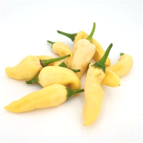 Naga Bhut Jolokia Blanco - 10 Semillas de chile | Chili-Plants.com Sh
