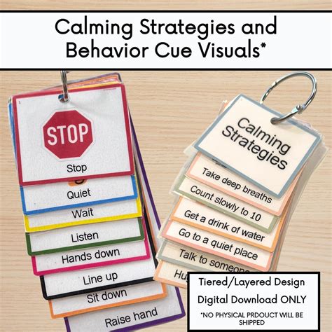 Buy Printable Behavior Cue Cards: Calming Strategies, Classroom ...