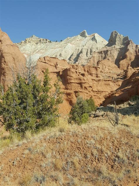 Loop Trail 的图像结果