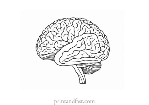 Brain Coloring Page - Printable Free Coloring Sheet