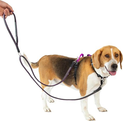 Amazon.com : LufeLux No Pull Dog Harness with Two Points Control Leash ...