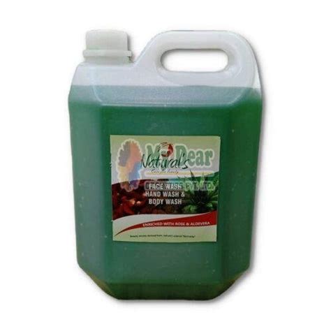 5 Ltr Naturals Care Beauty Body Wash Manufacturer, Supplier from Ambala