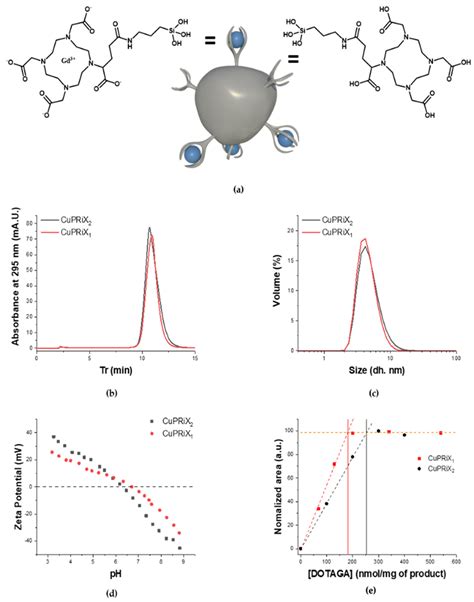 A New Generation of Ultrasmall Nanoparticles Inducing Sensitization to ...