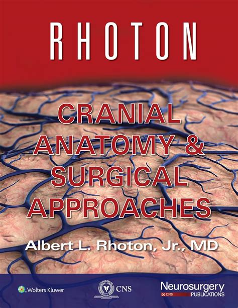 Buy Rhoton Cranial Anatomy and Surgical Approaches Book Online at Low ...