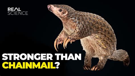 Time Real Science 的图像结果