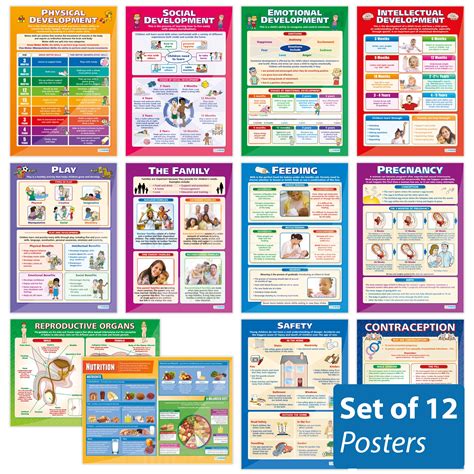 Buy Child Development Classroom s - Set of 12 | Gloss Paper measuring ...