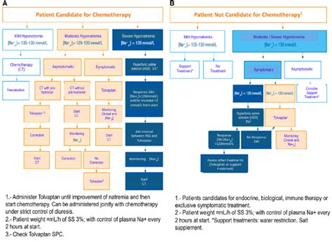Hyponatremia Algorithm 的图像结果