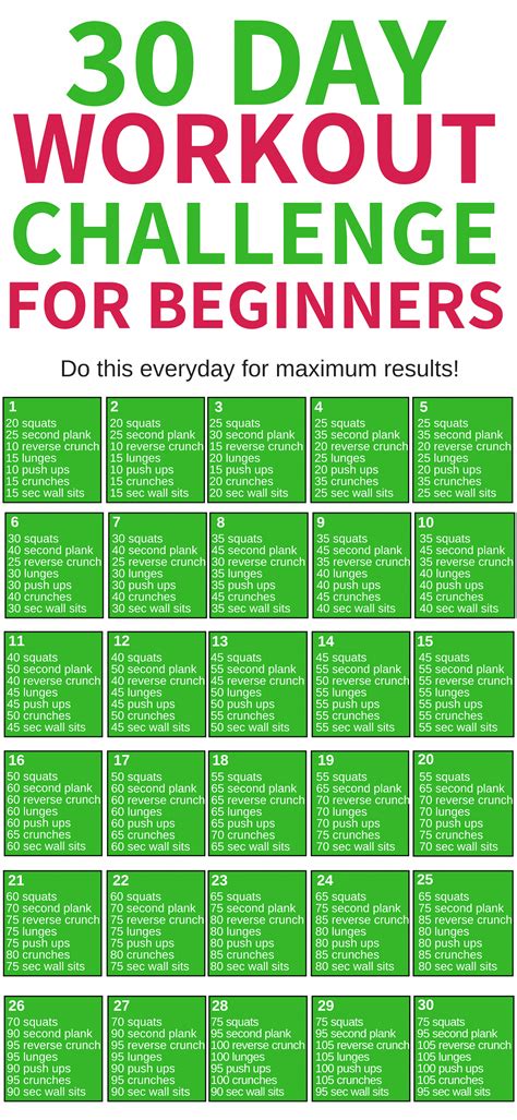Image result for Exercise Program for Beginners