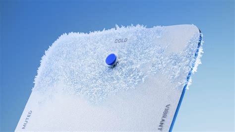 Opera Program 的图像结果