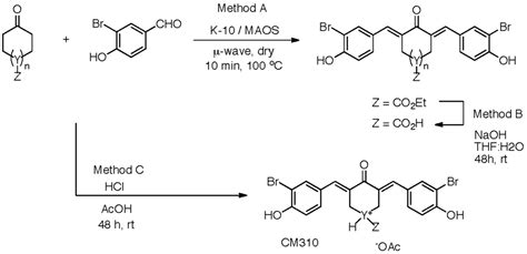 Inhibitor of CBP Histone Acetyltransferase Downregulates p53 Activation ...