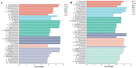 Sustainable Utilization of Insect Biodiversity in Agriculture Forestry ...