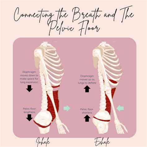 Pelvic Health Instagram Templates for Use With Canva Pro - Etsy ...