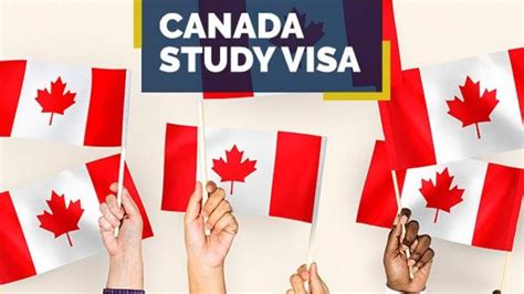 2019年加拿大学习签证新政策- 关于中断学习，转学和家属签证的新政解读 - 知乎