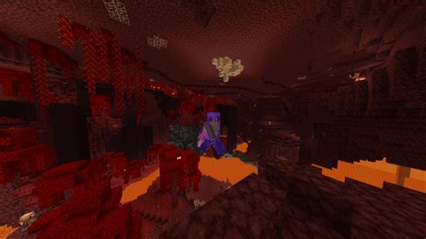 Image result for Minecraft Java Bastion Seed